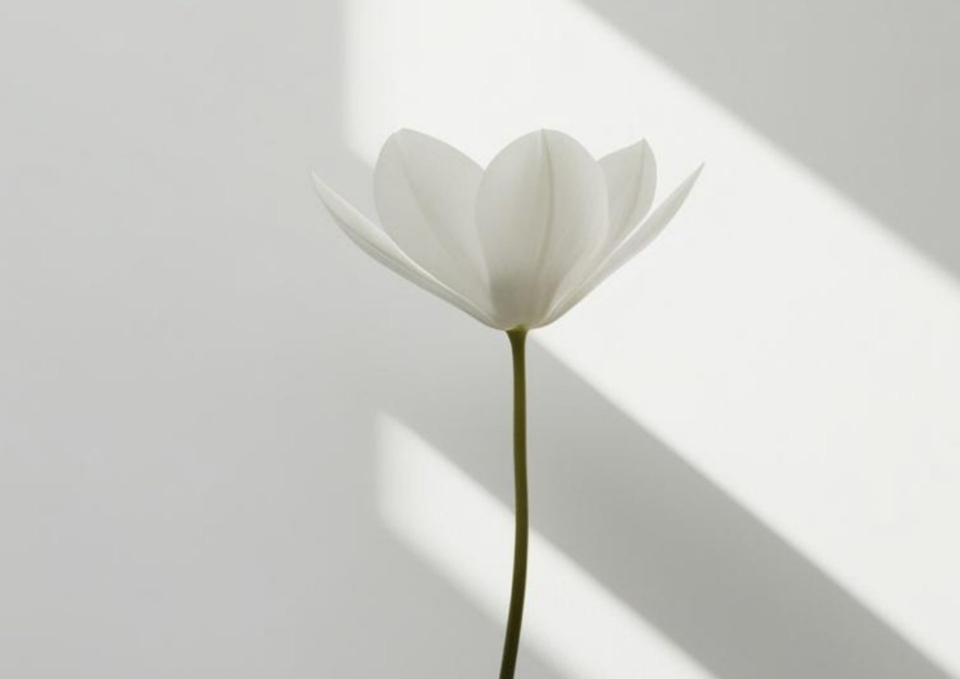 No vendas todo a todo el mundo: elige un enfoque claro